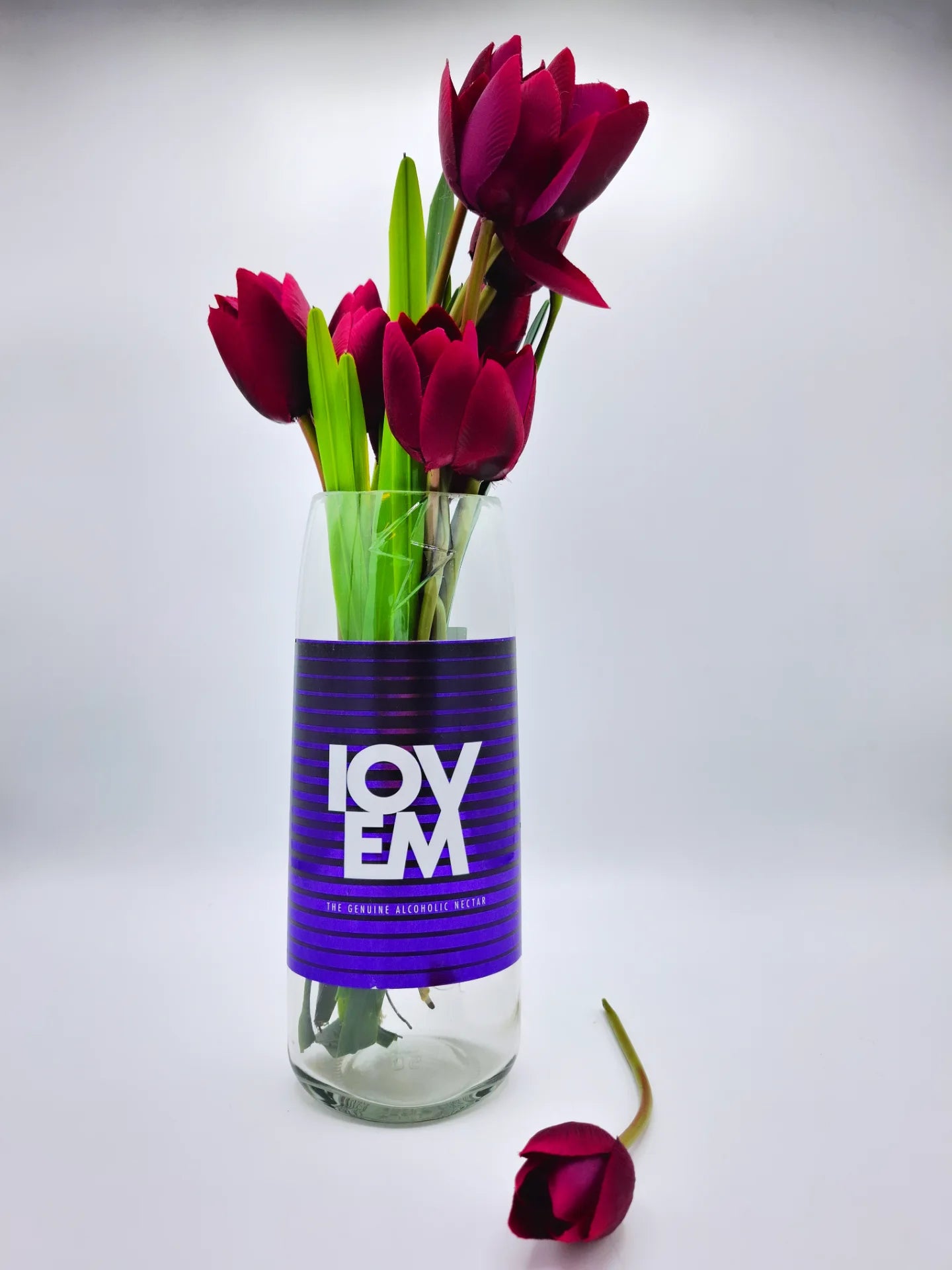 Vaso Iovem