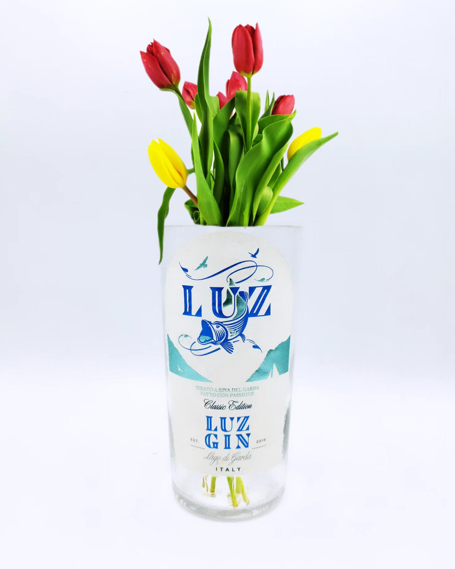 Vaso Luz Gin