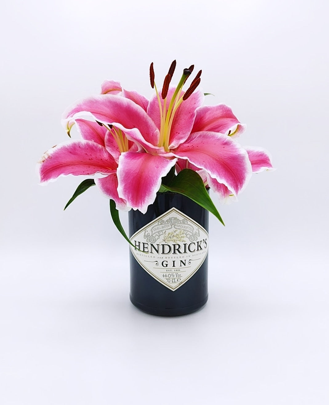 Vaso Hendrick's