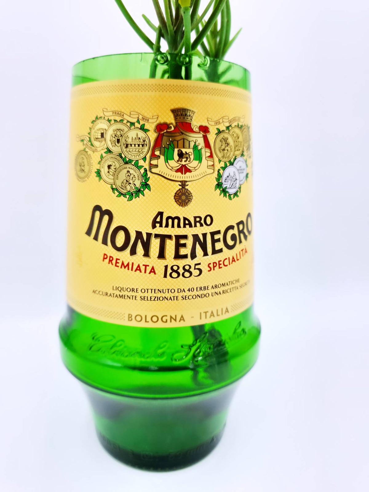 Vaso Montenegro
